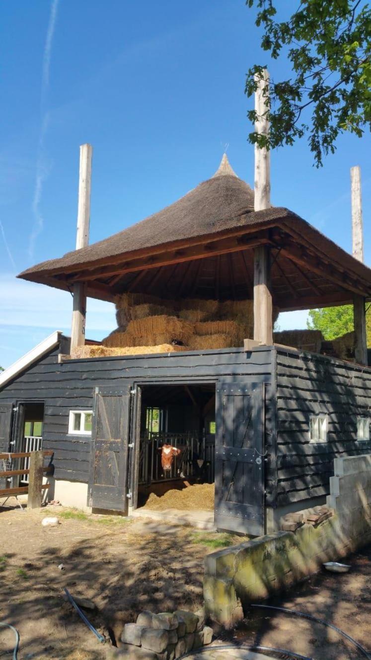 Landgoed Groot Boerle Bed & Breakfast Wijhe Eksteriør bilde