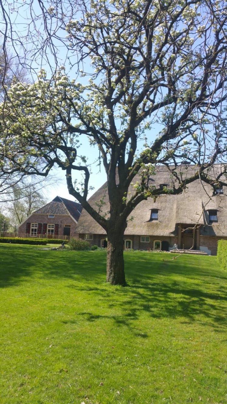Landgoed Groot Boerle Bed & Breakfast Wijhe Eksteriør bilde