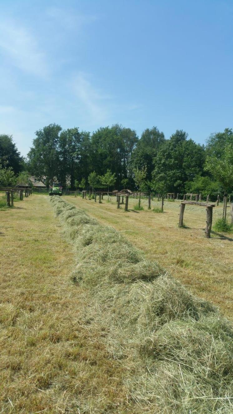 Landgoed Groot Boerle Bed & Breakfast Wijhe Eksteriør bilde